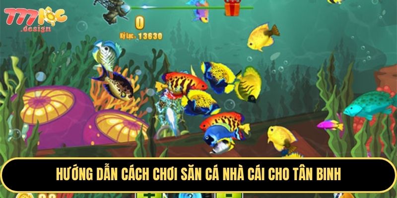 Bắn Cá 777loc – Săn Thưởng Lớn, Bắn Là Trúng, Hái Tiền Ngay 2 Bắn là trúng, cơ hội hái tiền hấp dẫn đang chờ