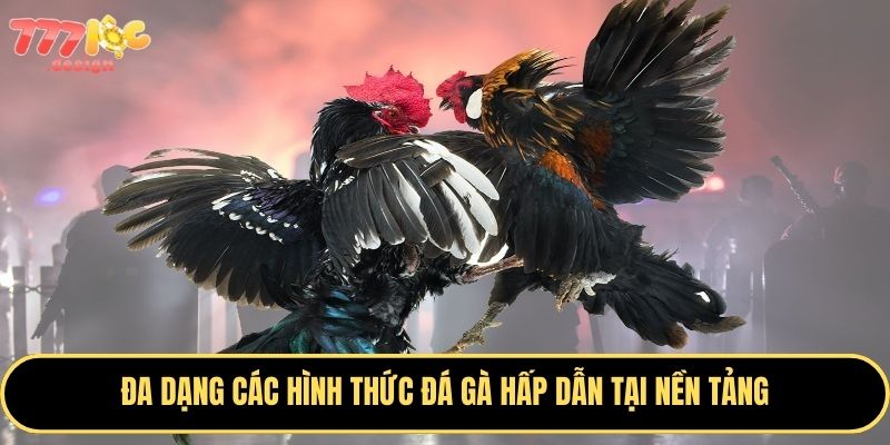 Đá Gà 777Loc - Sân Chơi Cá Cược Hấp Dẫn Không Thể Bỏ Lỡ 2 Trải nghiệm đá gà với tỷ lệ kèo hấp dẫn nhất hiện nay