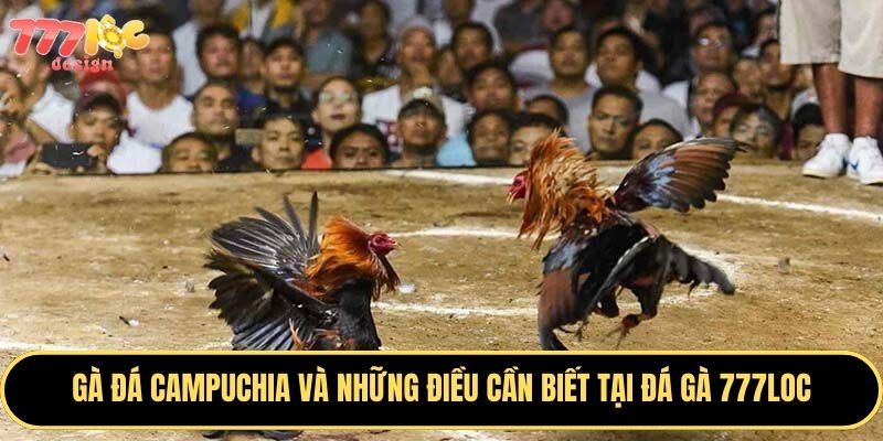 Đá Gà 777Loc - Sân Chơi Cá Cược Hấp Dẫn Không Thể Bỏ Lỡ 3 Hòa mình vào những trận đá gà đỉnh cao tại 777Loc