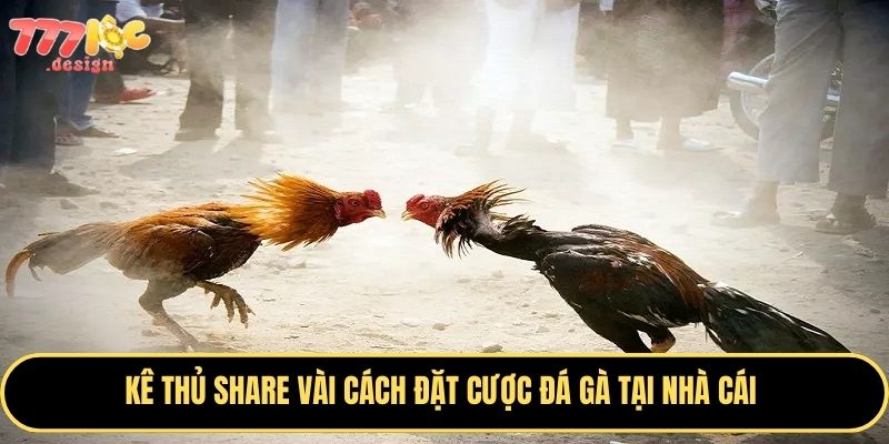 Đá Gà 777Loc - Sân Chơi Cá Cược Hấp Dẫn Không Thể Bỏ Lỡ 4 Cơ hội thắng lớn với đá gà nhà cái đừng bỏ lỡ