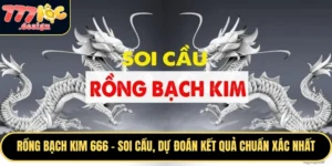 Rồng bạch kim 666 là một trang soi cầu, người bạn đồng hành tin cậy cho người chơi